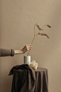 photography by marieke verdenius, styling by jose spaans