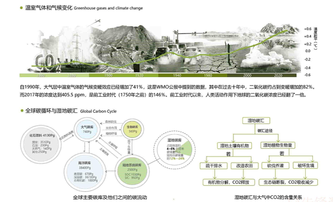 营建小微湿地碳汇银行——一场基于社区营造理念的南京西宁社区绿地规划设计