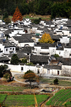 方圆天地采集到乡村自然景观