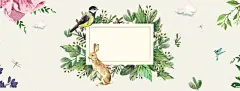 春季上新手绘鸟儿花朵黄banner