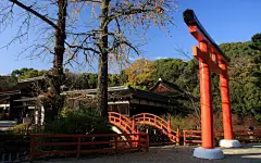 日本下鸭神社红叶高清电脑壁纸桌面壁纸4