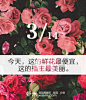 今天，这里的鲜花最便宜，这里的播主最美丽！