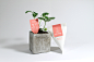Top Creative Work On Behance : Showcase and discover creative work on the world's leading online platform for creative industries.