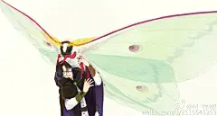 魔-女的盛宴的微博_微博