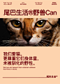 尾巴生活野兽can811生骨肉罐头100g主食罐猫成猫幼猫罐头-tmall.com天猫