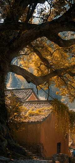 半吊儿童采集到背景图