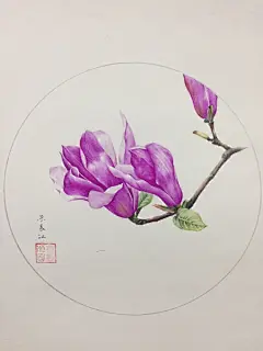 #花草日志# 圆珠笔手绘  |  by @朱长江-微博 「粉丝投稿」 ​​​​