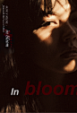 in bloom - 潘了个帆 - CNU视觉联盟