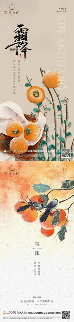 海报 房地产 二十四节气 霜降 柿子 插画 霜降节气海报