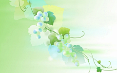 明月楼外采集到唯美花素1