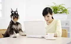 居家女性与狗狗壁纸桌面壁纸4