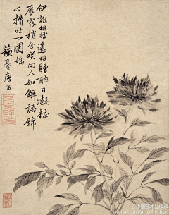 Janus137采集到明.吴门四家【沈周.文征明.唐寅.仇英】