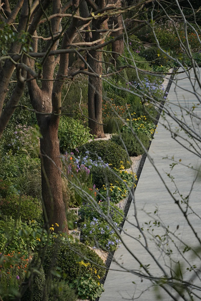 上海西岸领邸玖序，摩登的时尚与浪漫 / ...