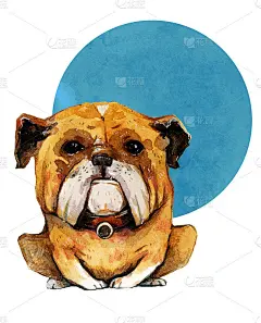 手绘水彩画坐在牛头犬在白色背景与蓝色纹理圆