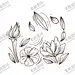 水墨风莲花插画 【酷图网】水墨莲花,意境荷花,荷花摄影,池塘,粉色莲花,粉色荷花,荷,荷塘,高清荷花,祥云,传统莲花,荷花图,荷花池,荷韵,莲,高清莲花,唯美荷花,手绘莲花,卡通莲花,复古莲花,水滴,莲花插画,莲花白描,莲花线描,莲花线条,莲花线稿,莲台,莲花台