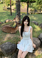 奈良小鹿太治愈啦 - 小红书