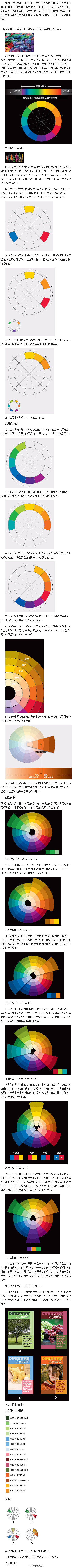 色彩原理之透视色轮