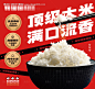 米饭灯箱-源文件【享设计】
