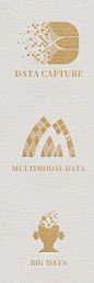 大数据logo，多模态，数据采集，数据抓取，2023年创作