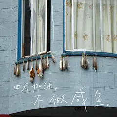 通用四月加油晒照文艺风plog模板