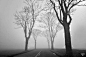 #MIUI发现美# Yannick Cordemy 是一个“雾”之猎人，钟情于漫步法国乡村，捕获“雾”的气息。无尽的道路，对称的镜头，充斥着忧郁与神秘。你喜欢这种黑白灰的迷雾风么？  via Fubiz