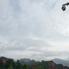 淡淡丫采集到走过路过错过