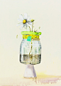 #水彩# Dane Lovett.植物与瓶子