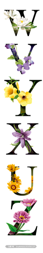 字母-花 5