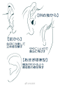 耳朵的表现~P站画师：Amagi_Yoshihito,pid=68146863  （转）via @板绘插画教程 ​ ​​​​