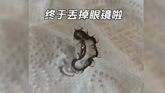 ♚lannan采集到眼科类