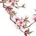 花-花枝