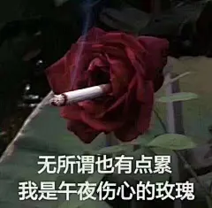 沙雕表情包更新，拿图互动

就让我在这寂寞的夜里独自买醉
又关我事
无所谓也有点累，我是午夜伤心的玫瑰
请您一定收下
这件事就拜托你咯...展开全文c