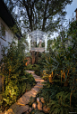 Broissin Arquitectos Reinterprets the Tree House in Glass - Image 8 of 16