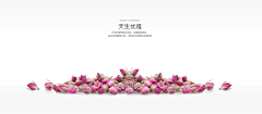 剪风蜗牛采集到花纹背景
