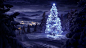 通用雪1920x1080的夜景灯光圣诞树@北坤人素材