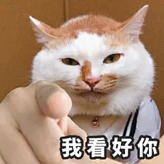 指人表情包
