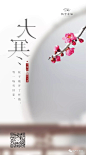 【作品】2018二十四节气之大寒 —— 看这些就够了