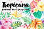 夏季五颜六色的水彩热带花卉花圈包 Watercolor Tropical Floral Pack - Watercolor Tropical Floral Pack.jpg