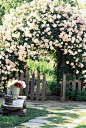 The addition of an arbor will instantly transform your garden into a romantic escape.