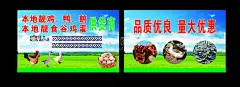 鸡鸭鹅名片  - 源文件下载【酷图网】鸡鸭鹅,名片,鸡蛋,草原,个人,卡片,材料,店铺,蓝天白云