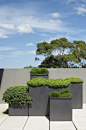 | LANDSCAPING |Outdoor Terraces in Glebe, Australia by Secret Gardens. Carefully planned groupings make all the difference.@北坤人素材