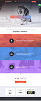 ThoughtSpot - Reeoo.com : The website about ThoughtSpot.