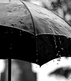 一舟之语采集到雨思