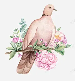 卡通手绘鸽子与花朵 页面网页 平面电商 创意素材