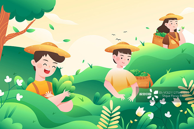 茶园,插画,国际劳动节,农业,度假正版图...