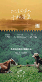 沙尘暴