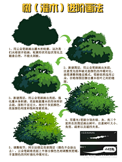 秋分44采集到植物