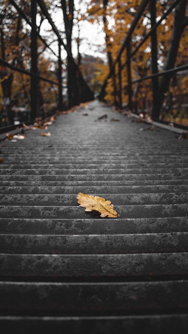 Beautiful Free Image...