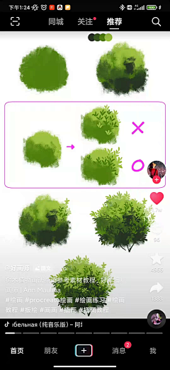 dourv采集到植物