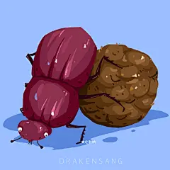 1小昆虫5